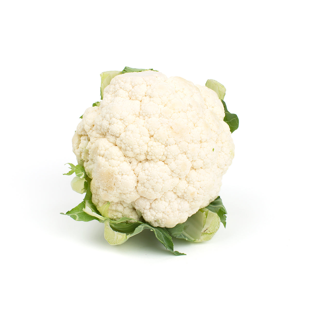 Wholesale BoxNCase Cauliflower-16 Ct Case Bulk