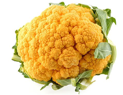 Wholesale BoxNCase Orange Cauliflower-9-12 Ct Case Bulk