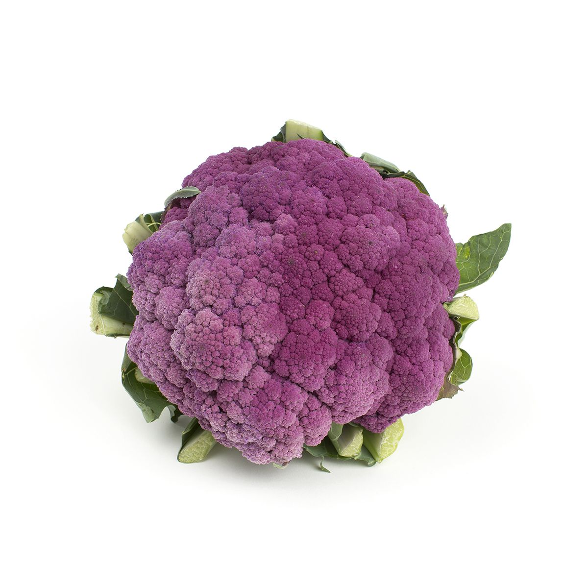 Wholesale BoxNCase Purple Cauliflower- Bulk