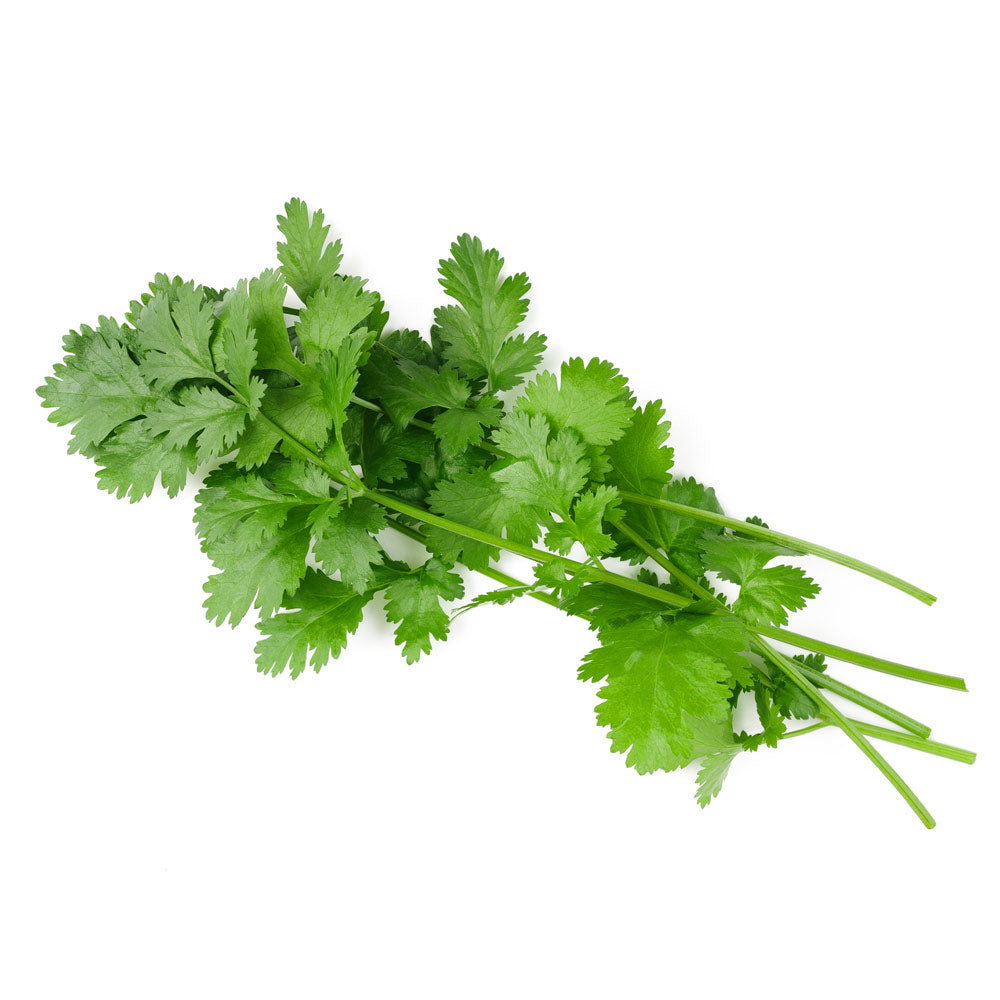 Wholesale Taylor Farms Cut & Clean Cilantro | 1 lb- Bulk