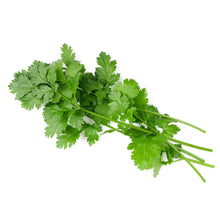 Wholesale Taylor Farms Cut & Clean Cilantro | 1 lb- Bulk