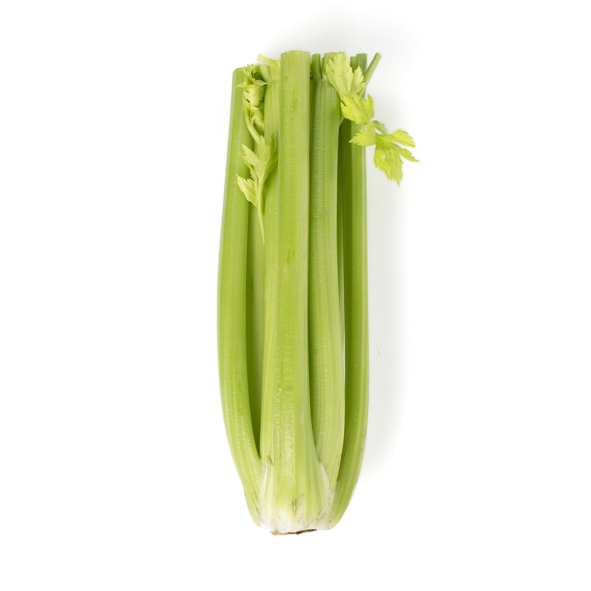 Wholesale BoxNCase Sleeved Organic Celery- Bulk