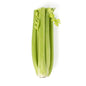 Wholesale BoxNCase Celery- Bulk