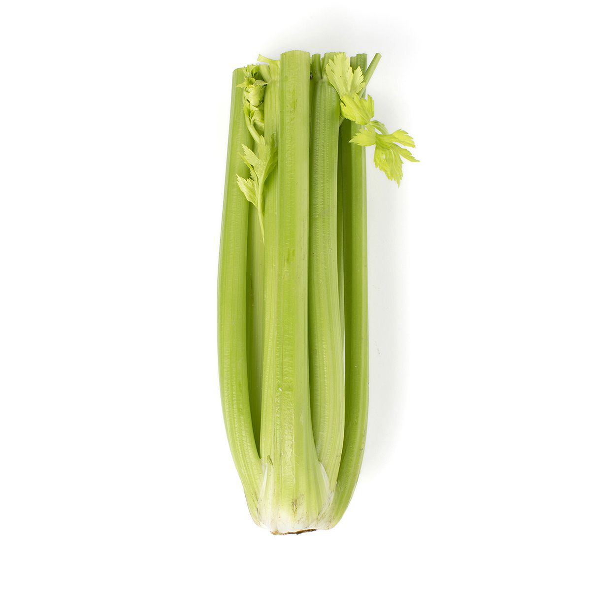 BoxNCase Celery 3 CT