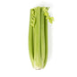 Wholesale BoxNCase Celery- Bulk