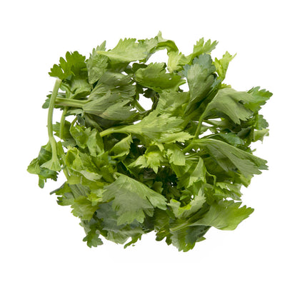 Wholesale BoxNCase Celery Leaves- Bulk