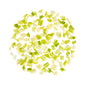 Wholesale BoxNCase 3/4 Diced Celery 5 LB-4ct Case Bulk