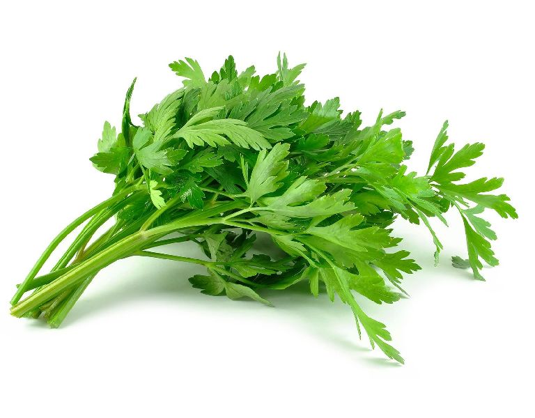 Wholesale BoxNCase Celery Leaves- Bulk