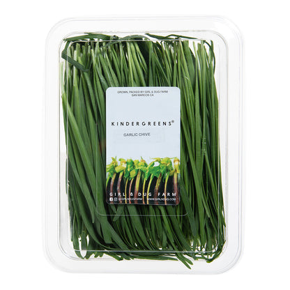 Wholesale Girl & Dug Farm Garlic Chives- Bulk