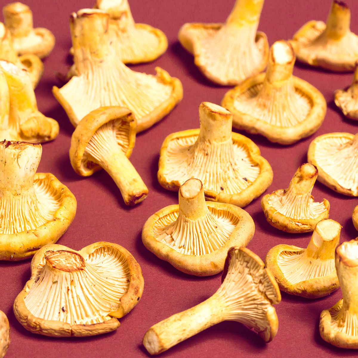 Wholesale BoxNCase Chanterelle Mushrooms- Bulk