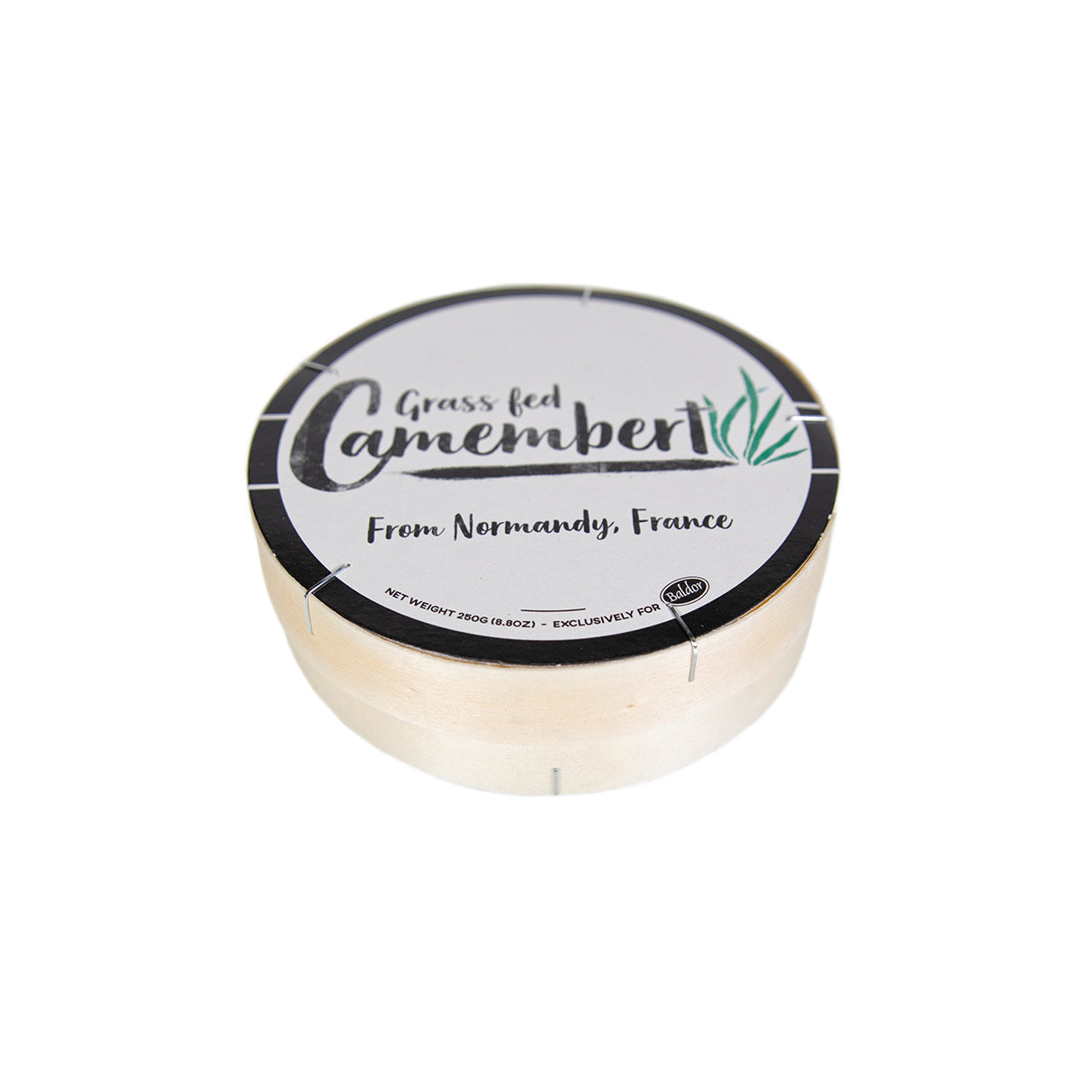 Wholesale BoxNCase Grass Fed Camembert Wheel- Bulk