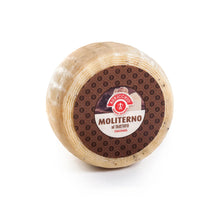 Wholesale La Rustichella Pecorino Moliterno with Truffle Wheel- Bulk