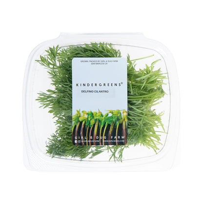 Wholesale Girl & Dug Farm Delfino Cilantro- Bulk