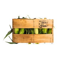Wholesale BoxNCase Yellow Corn- Bulk