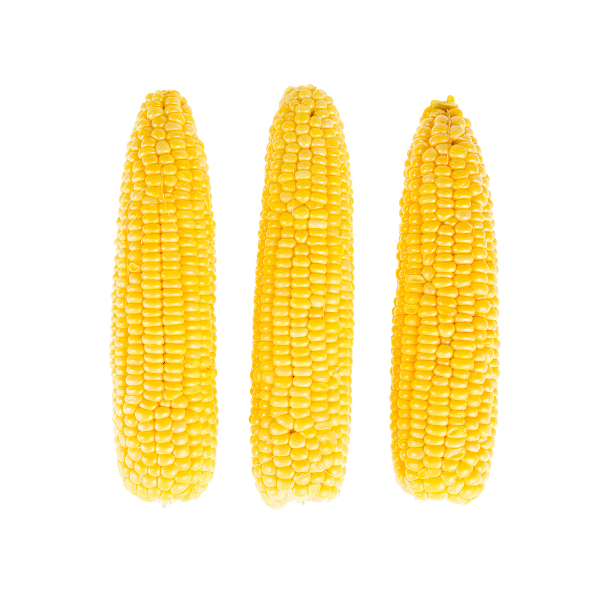 Wholesale BoxNCase Cleaned and Husked Yellow Corn-40 Ct Case Bulk