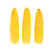 Wholesale BoxNCase Cleaned and Husked Yellow Corn-40 Ct Case Bulk