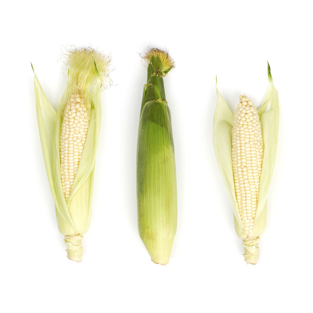 BoxNCase Retail Tray White Corn 4 CT