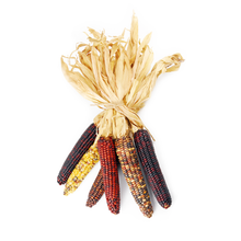 Wholesale BoxNCase Ornamental Corn 3 CT-12ct Case Bulk