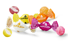 Wholesale Napoleon Bulk Assorted Fruit Sour Mix Featuring Lemon, Cherry, Orange, and Pineapple Flavors 5 LB- Bulk