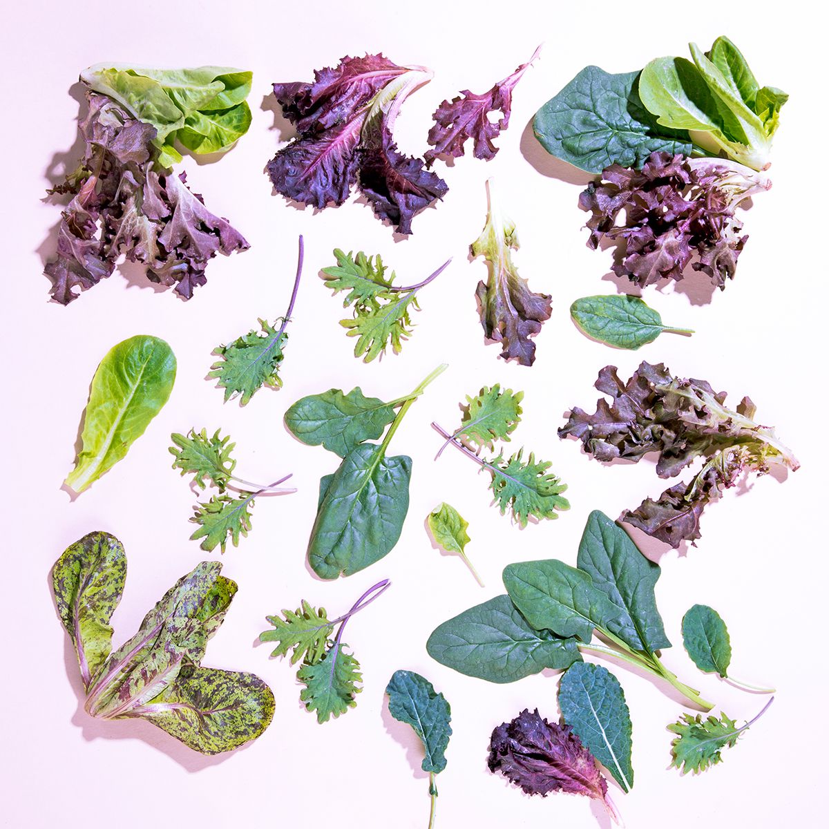 Wholesale County Line Harvest Organic Bloomsdale Spinach- Bulk