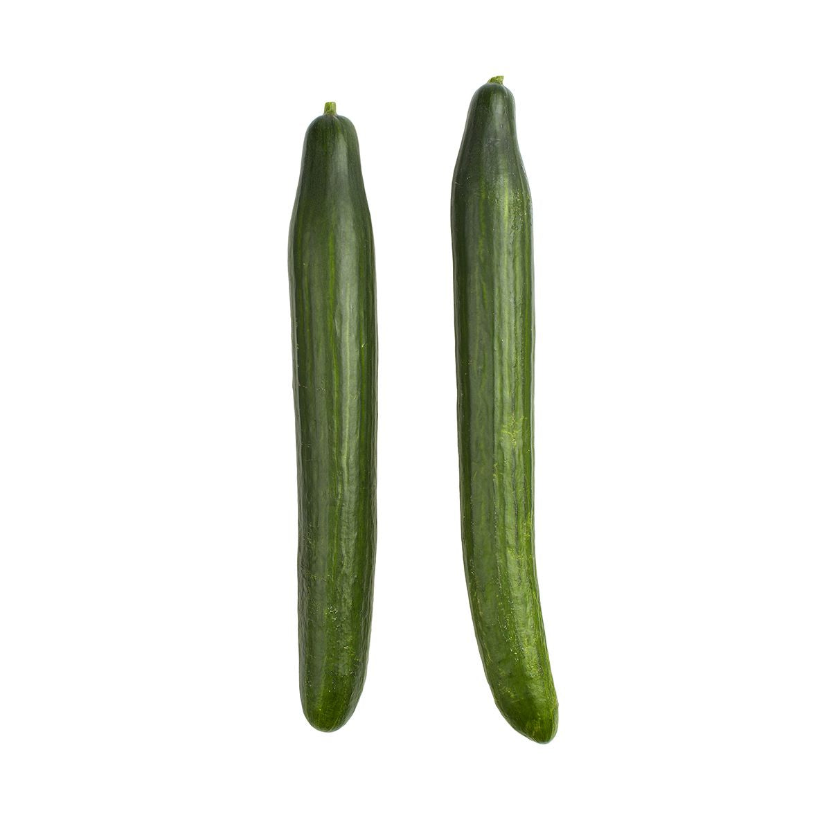 Wholesale BoxNCase Large Hot House Cucumbers-12 Ct Case Bulk