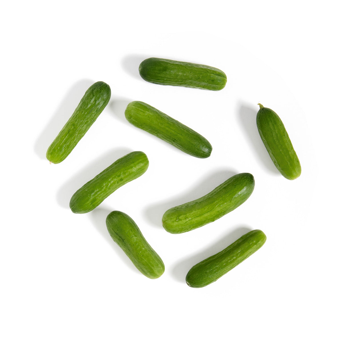 BoxNCase Clamshell Cocktail Cucumber 9 oz
