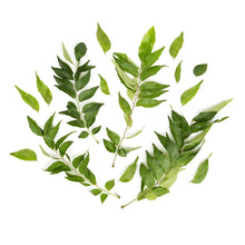 Wholesale BoxNCase Curry Leaves- Bulk