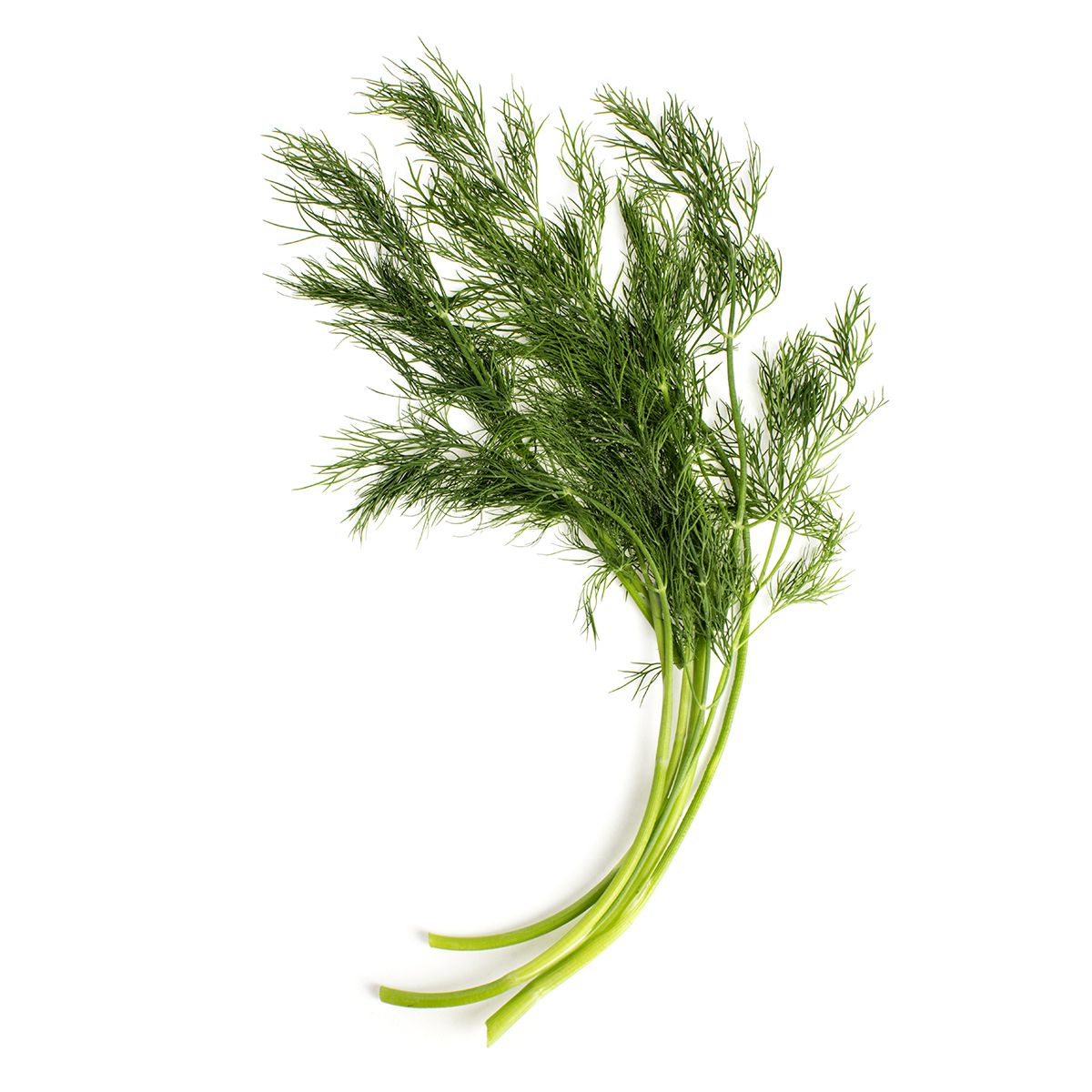 BoxNCase Extra Fancy Dill