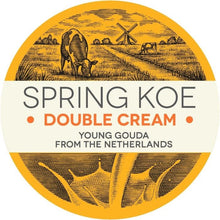 Wholesale WebstaurantStore / European Dairy Importers Double Cream 60% Gouda 10 LB- Bulk