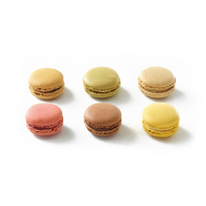 Wholesale Traiteur De Paris Macarons Rive Droite Assorted 12 g-72ct Case Bulk