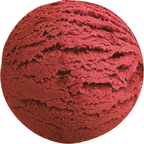 Wholesale Bindi Raspberry Sorbetto | 1.24 gal-1ct Case Bulk