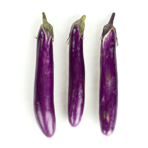 Wholesale BoxNCase Japanese Eggplant-10 LB Bulk