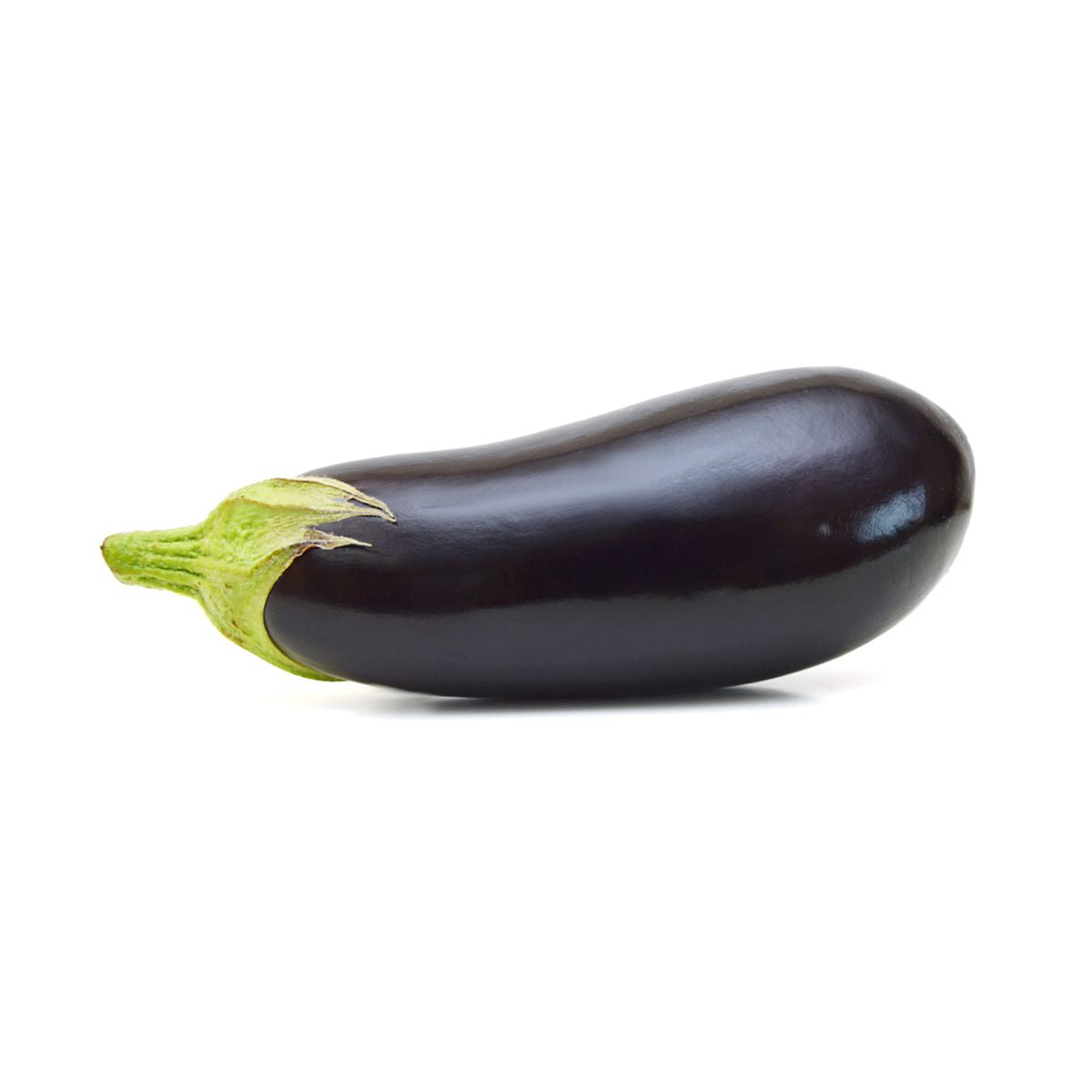 Purple Pride Holland Eggplant