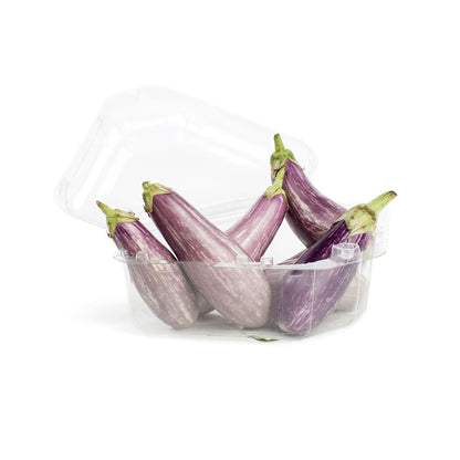 Purple Pride Fairy Tale Mini Graffiti Eggplant 200 GR