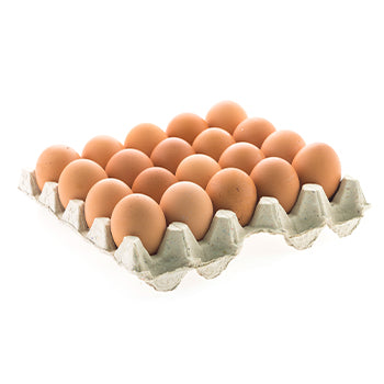 Wholesale Sauder Organic Extra Large Brown Eggs 15dz-1ct Case Bulk