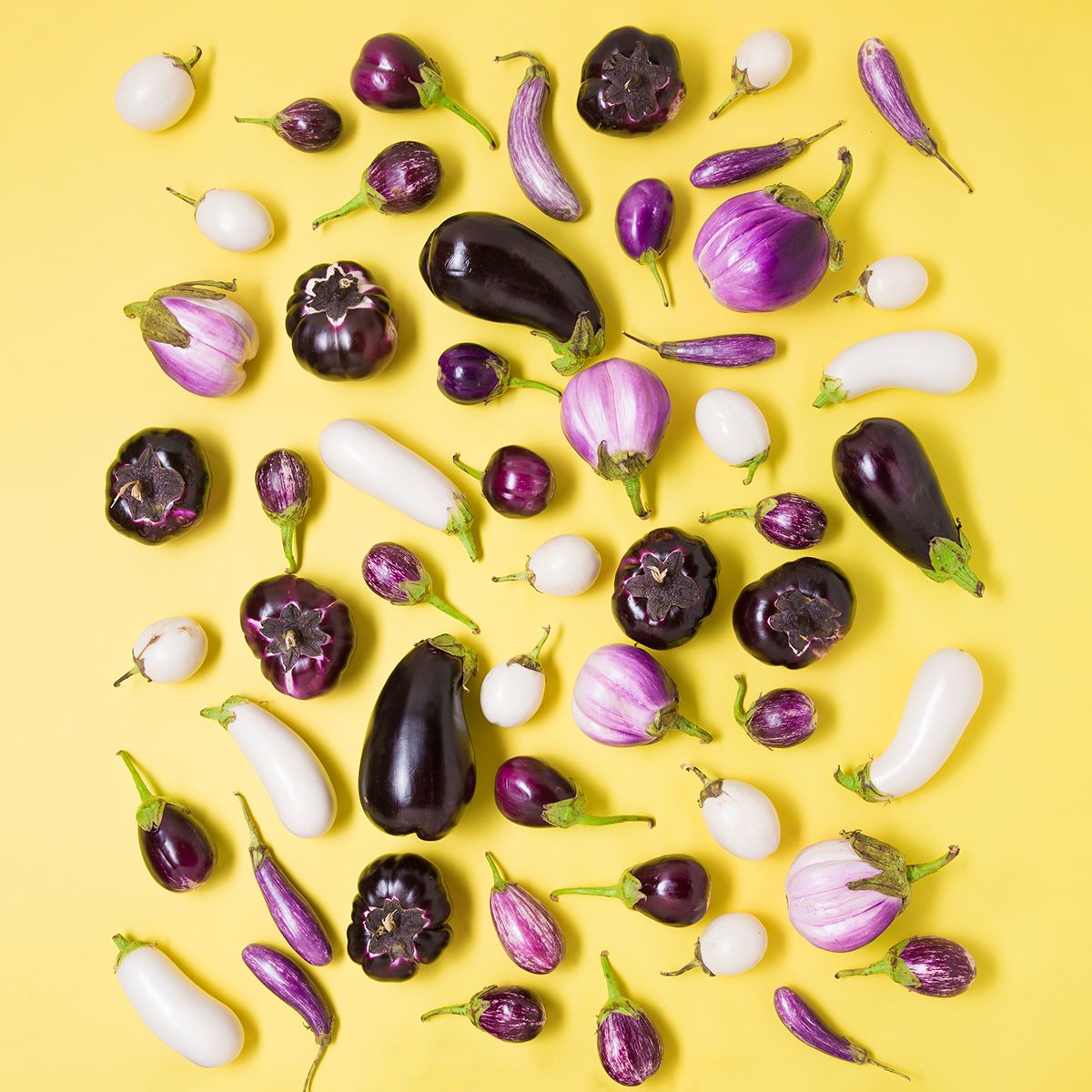 Wholesale Ferry Morse Organic Eggplant Long Purple Early Vegetable Plant Seeds Full Sun 10z 20ct- Bulk