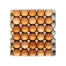 Wholesale Organic Valley Organic Cage-Free Extra Large Loose Eggs- Bulk