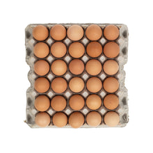 Wholesale Esbenshade Farms Large Brown Free Range Loose Eggs 1 Dozen Box- Bulk