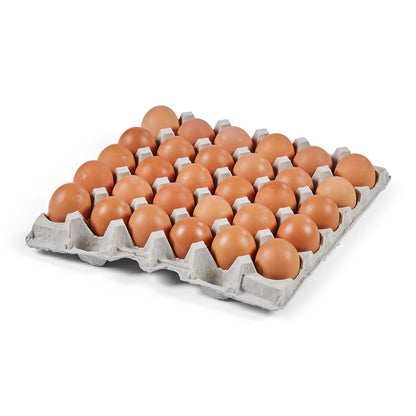 Wholesale Vital Farms Pasture-Raised Large Shell Eggs- Bulk