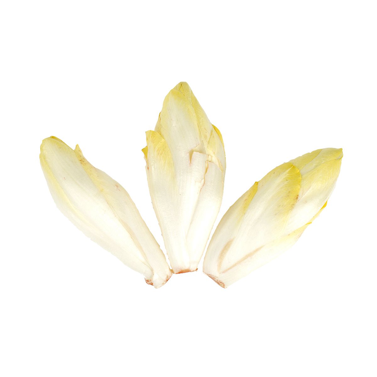 Wholesale BoxNCase Organic Endive 3 CT- Bulk