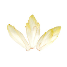 Wholesale BoxNCase Organic Endive 3 CT- Bulk