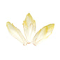 Wholesale BoxNCase Organic Endive 3 CT- Bulk