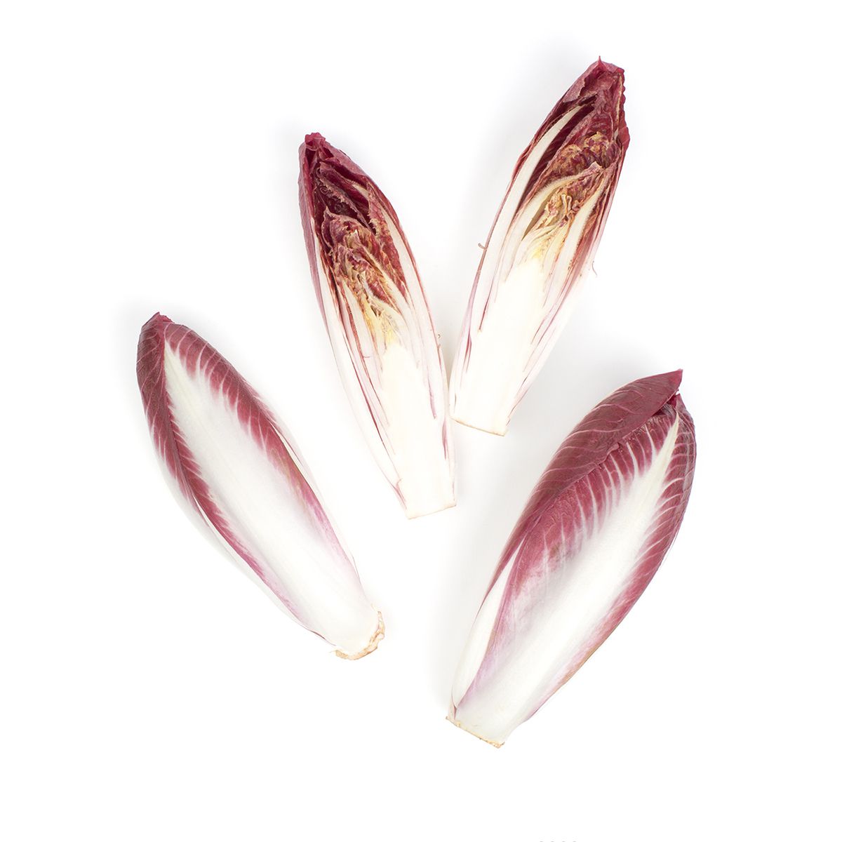 Wholesale BoxNCase Red Endive- Bulk