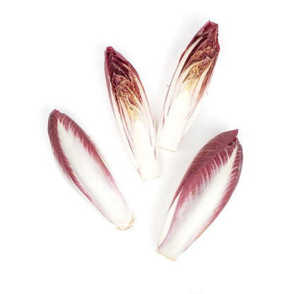 Wholesale BoxNCase Red Endive- Bulk