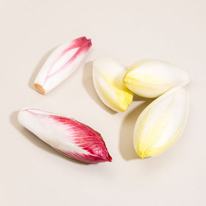 Wholesale BoxNCase Red Endive- Bulk