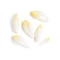 Wholesale BoxNCase Belgian Endive- Bulk