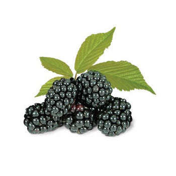Townsend IQF Blackberries 10lb