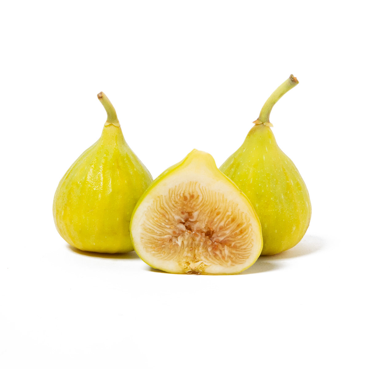 Wholesale BoxNCase Emerald Figs 1 PT- Bulk