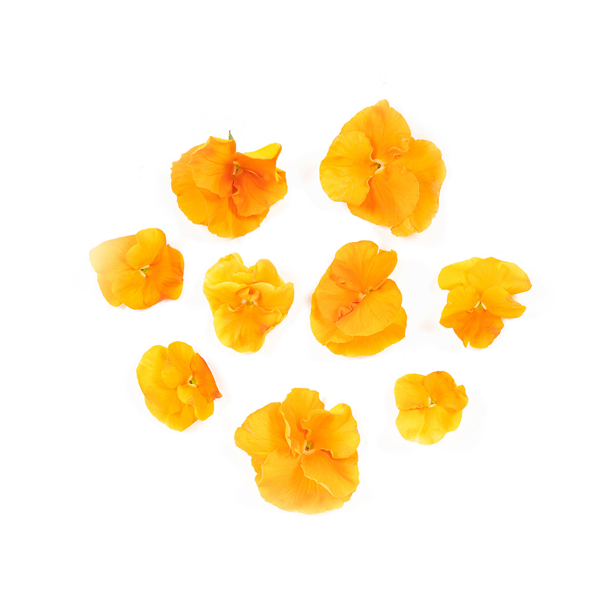 Fresh Origins Orange Pansies