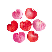 Wholesale Fresh Origins Edible Begonia Flowers Valentines Hearts- Bulk